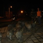 15jul: Monumento al Ovejero
