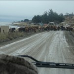 20jul: Fuerte Bulnes