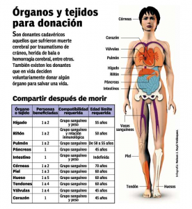 organos Organos y Tejidos para donación. Por trasplante.cl