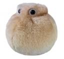 Celula de Grasa de Peluche